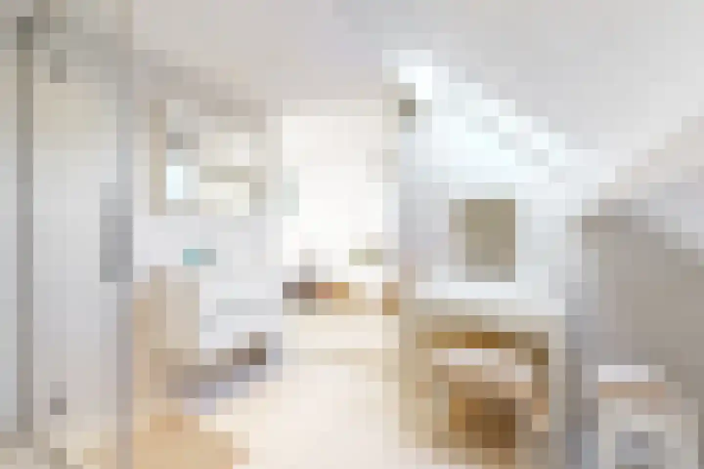 Papehof 35 Abcoude thumbnail 36