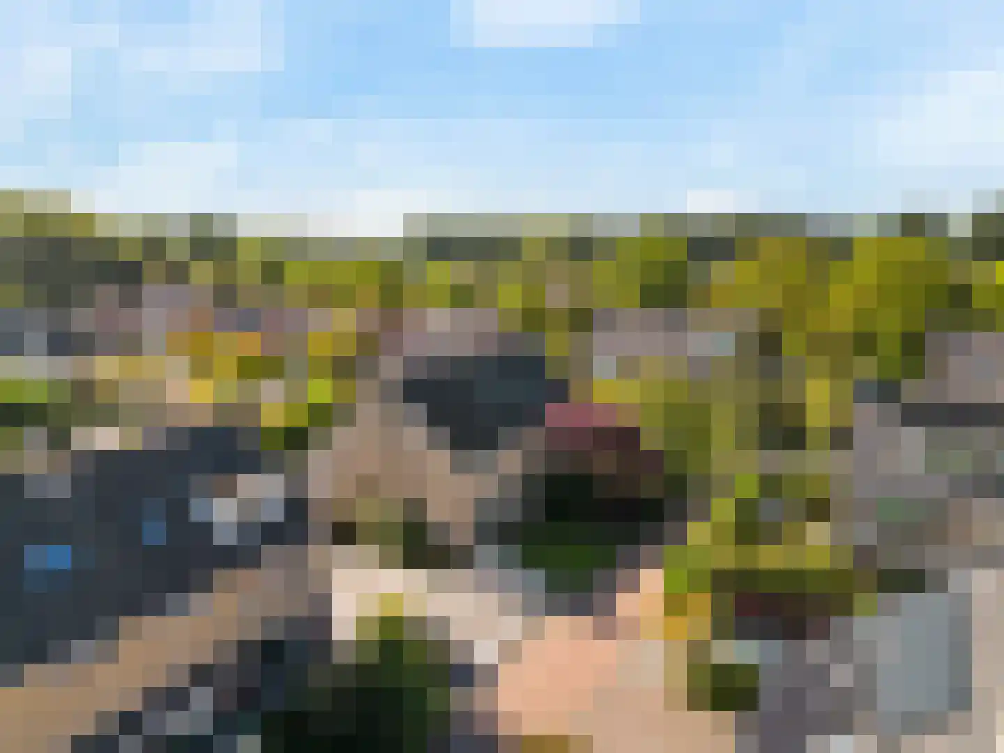 Papehof 35 Abcoude thumbnail 4
