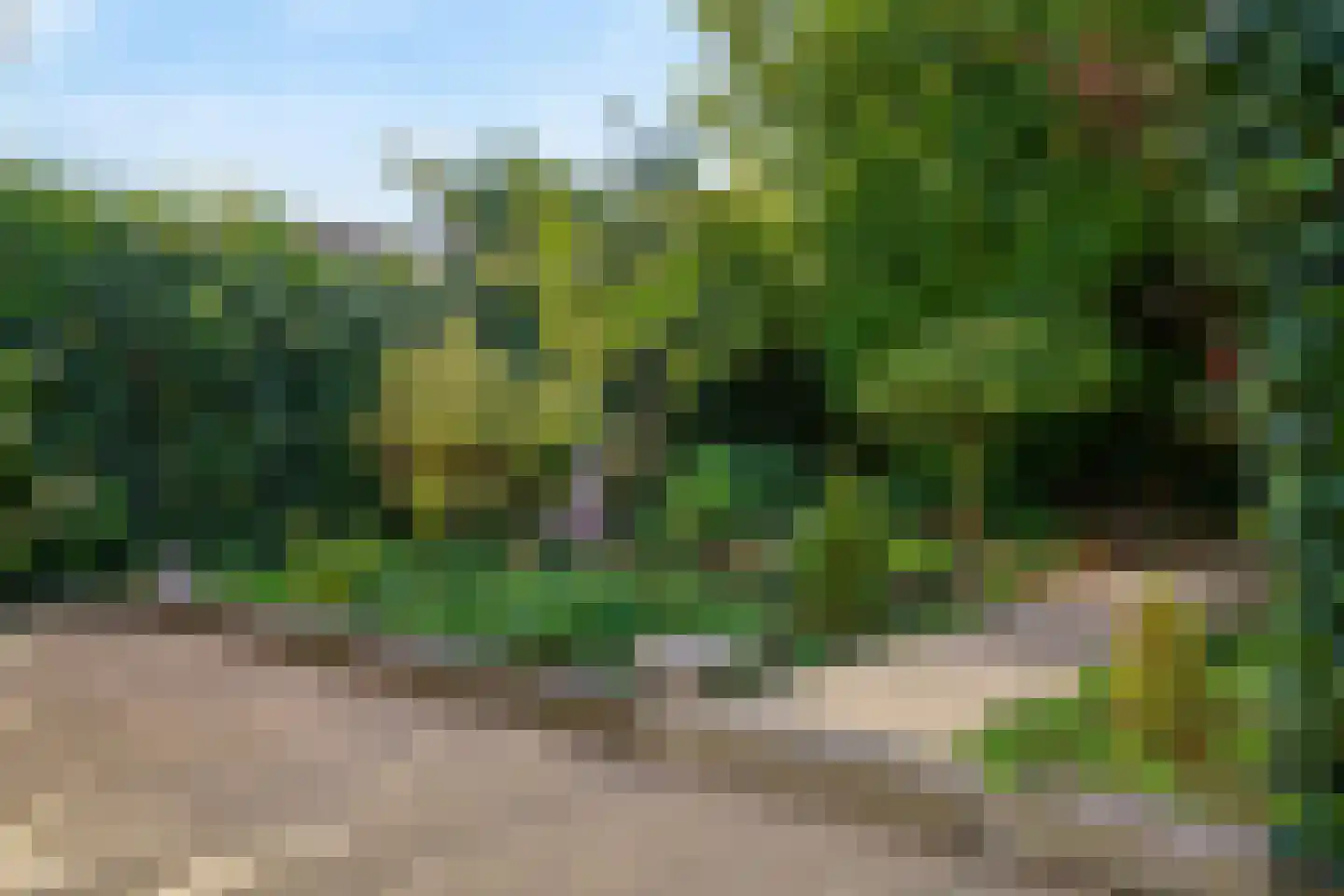 Papehof 35 Abcoude thumbnail 43