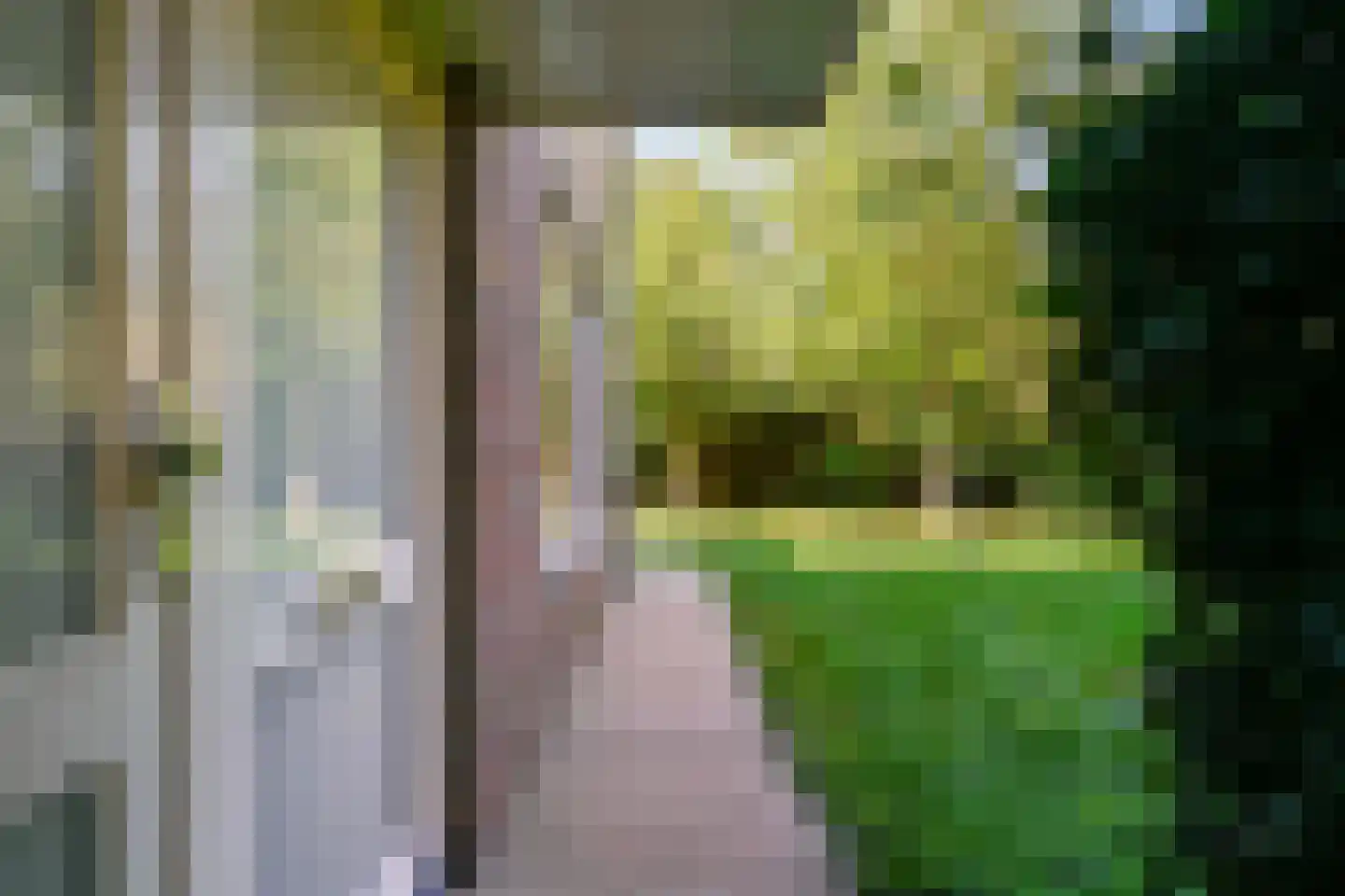 Papehof 35 Abcoude thumbnail 49