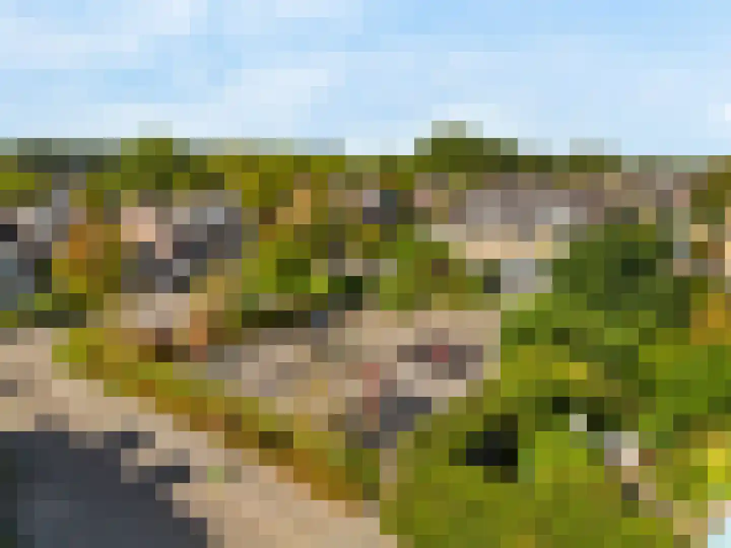 Papehof 35 Abcoude thumbnail 53