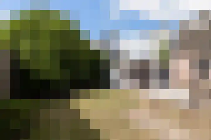 Papekamp 5 Ochten thumbnail 22