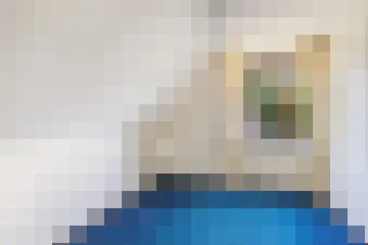 Papekamp 5 Ochten thumbnail 23