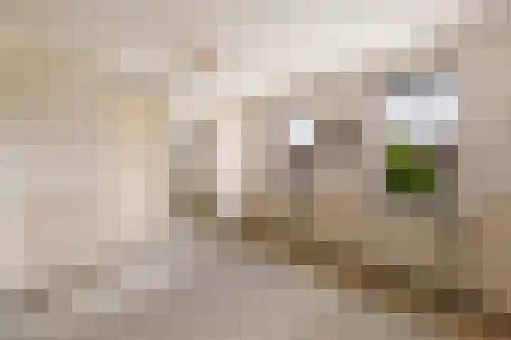 Papekamp 5 Ochten thumbnail 31