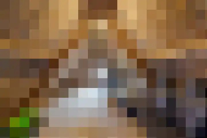 Papekamp 5 Ochten thumbnail 35
