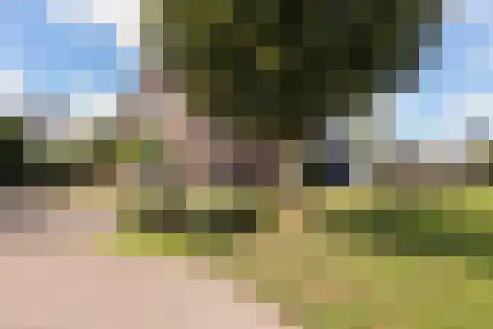 Papekamp 5 Ochten thumbnail 38