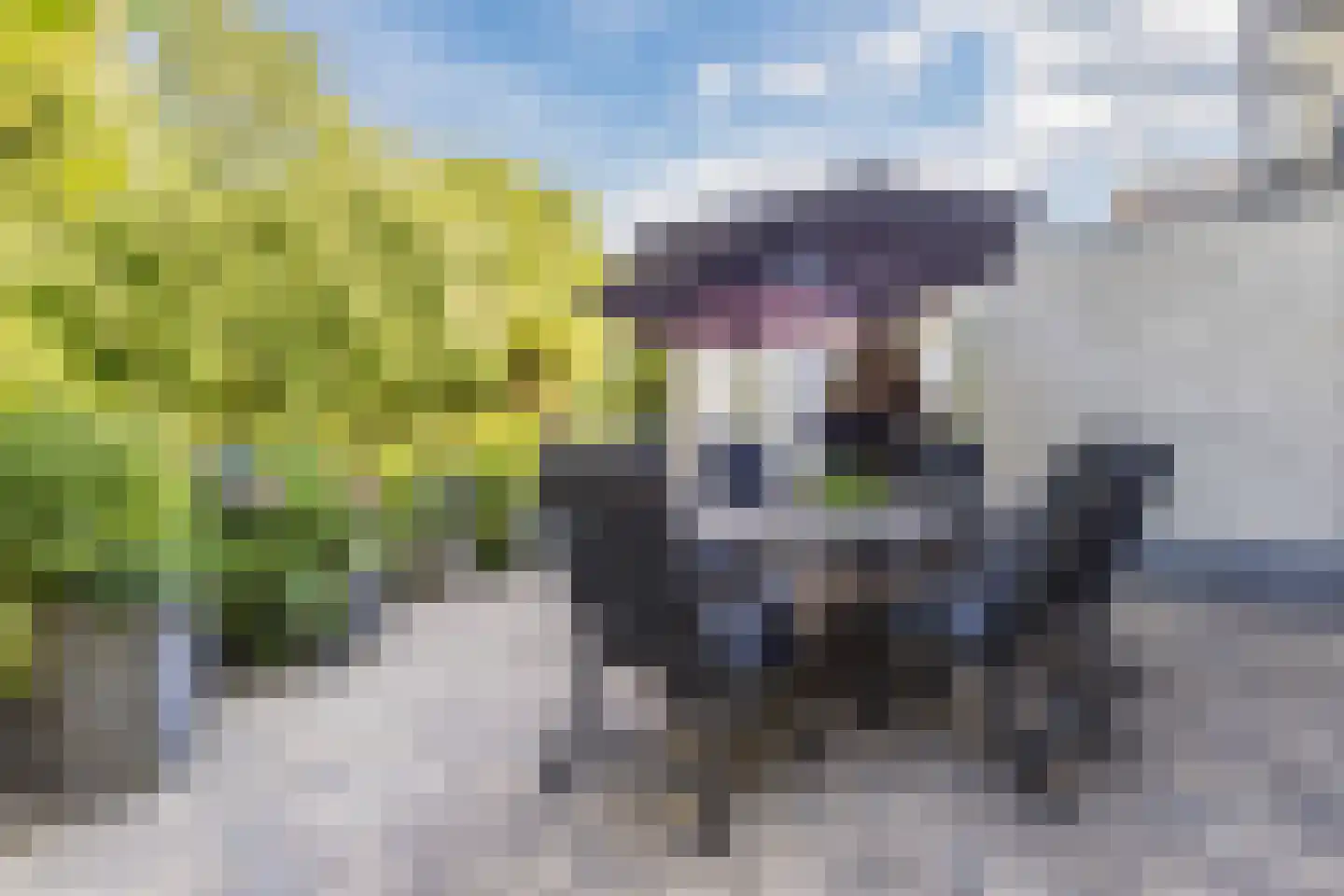 Papekamp 7 Ochten thumbnail 33