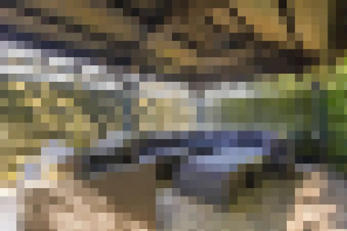 Papekamp 7 Ochten thumbnail 36