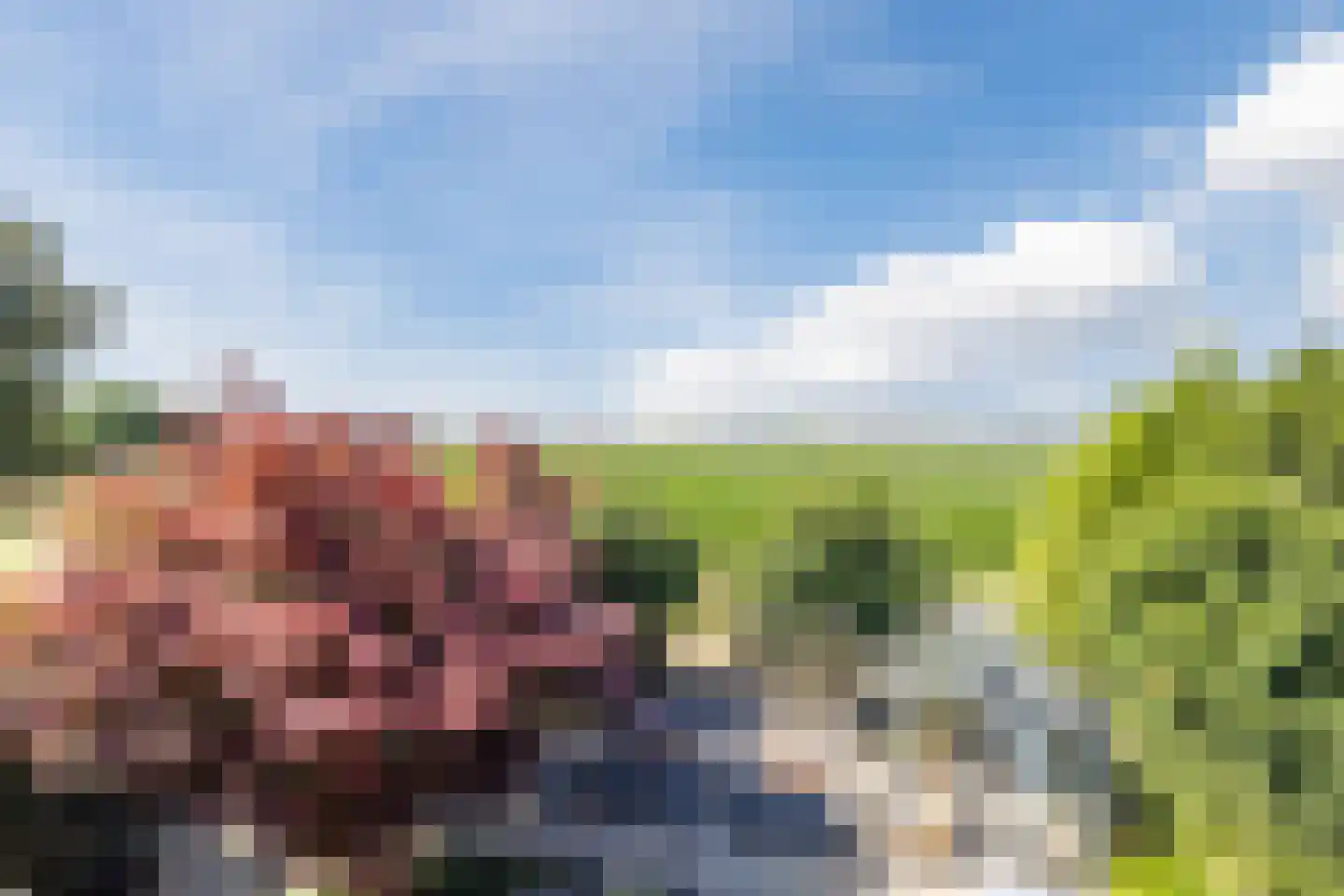 Papekamp 7 Ochten thumbnail 39
