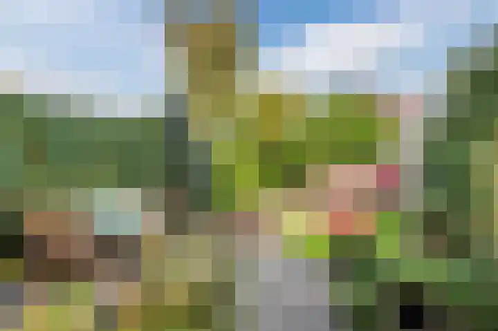 Papelaan 110 Voorschoten thumbnail 28