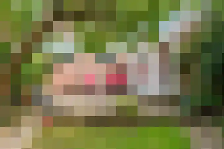 Papelaan 110 Voorschoten thumbnail 29