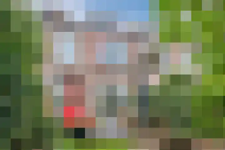 Papelaan 110 Voorschoten thumbnail 30