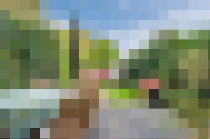Papelaan 110 Voorschoten thumbnail 4