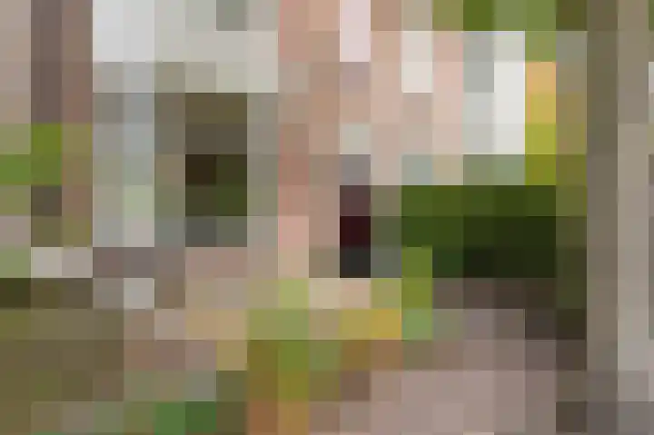Papelaan 110 Voorschoten thumbnail 5