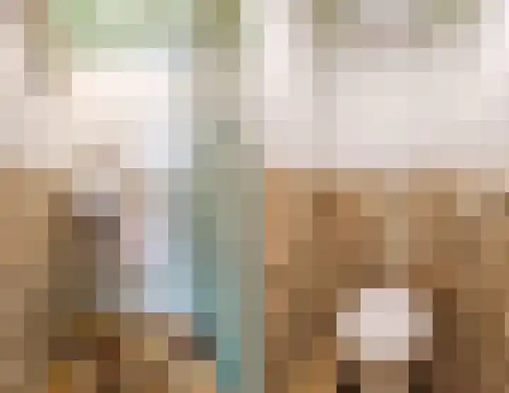 Papelaan 110 Voorschoten thumbnail 8