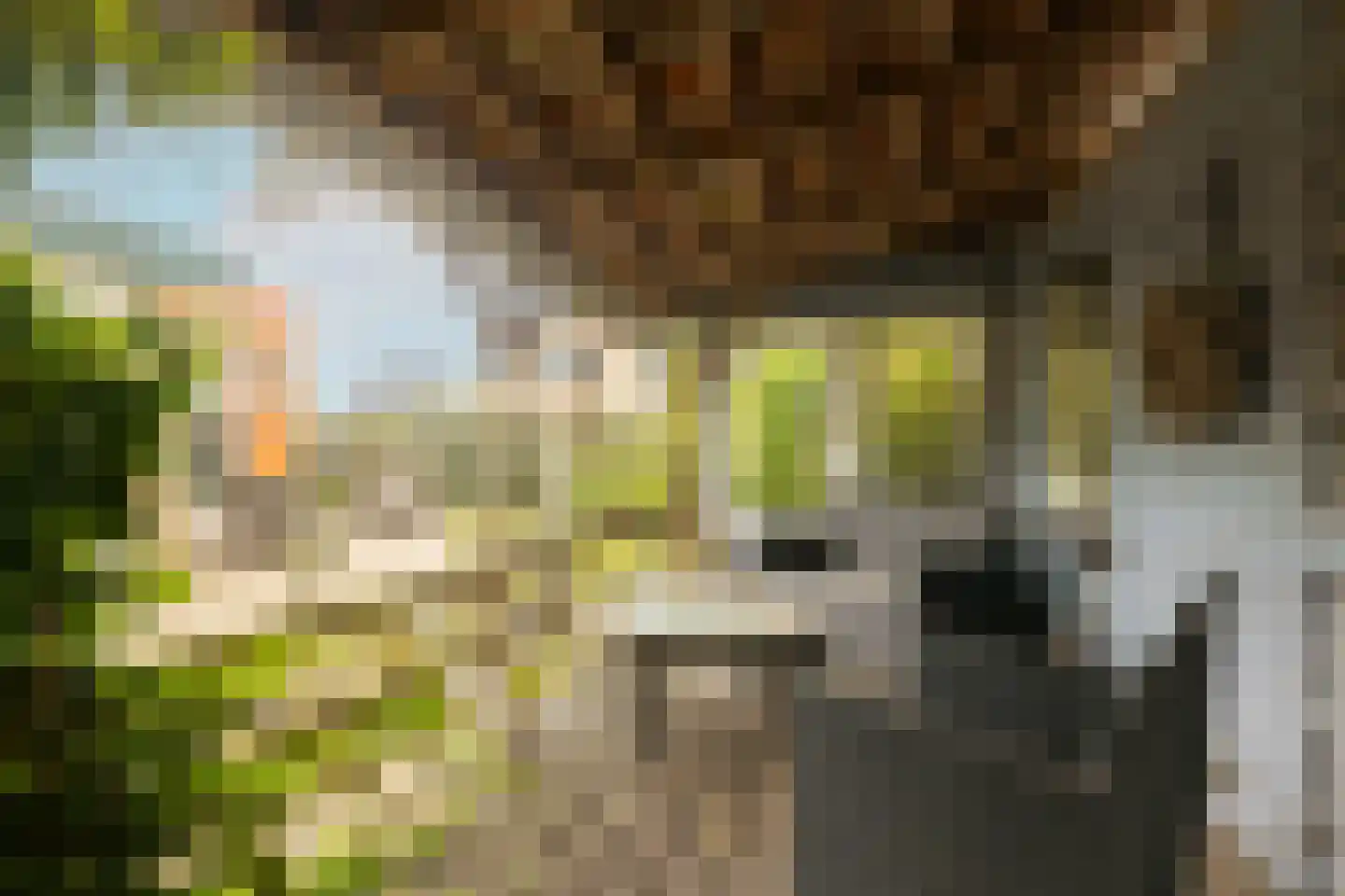 Papelaan 13 Monster thumbnail 33