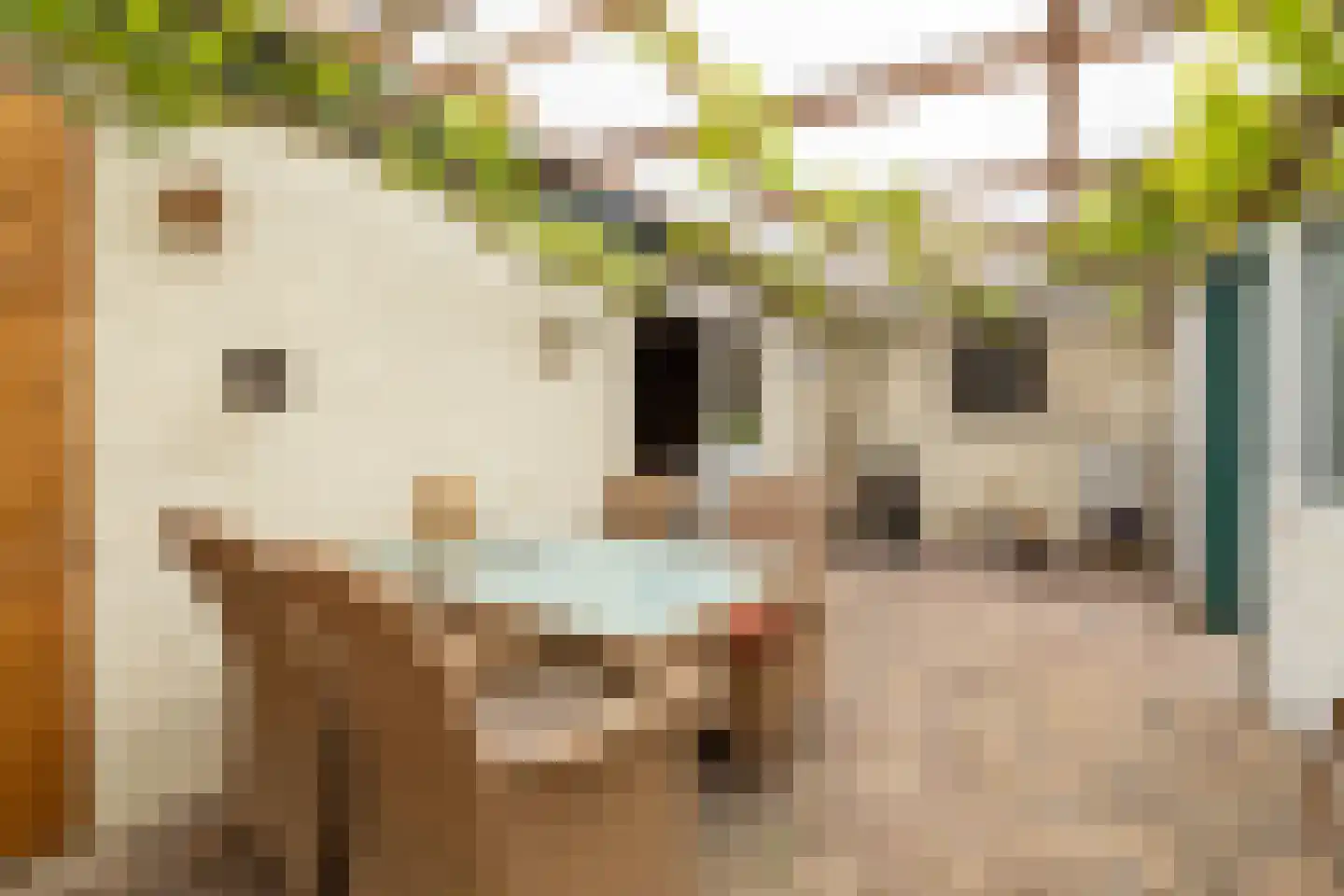 Papelaan 13 Monster thumbnail 36