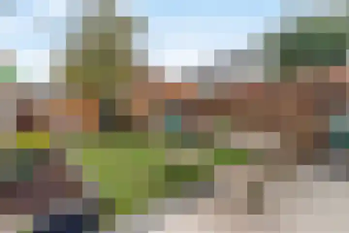 Papelaan 2 b Weesp thumbnail 17