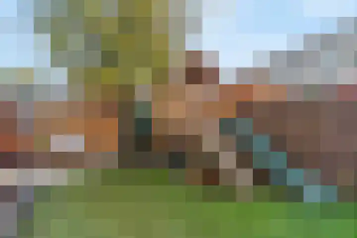 Papelaan 2 b Weesp thumbnail 18