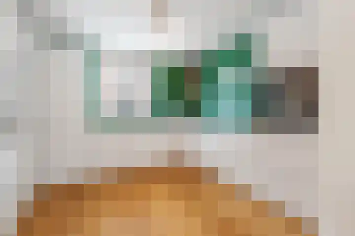 Papelaan 2 b Weesp thumbnail 8
