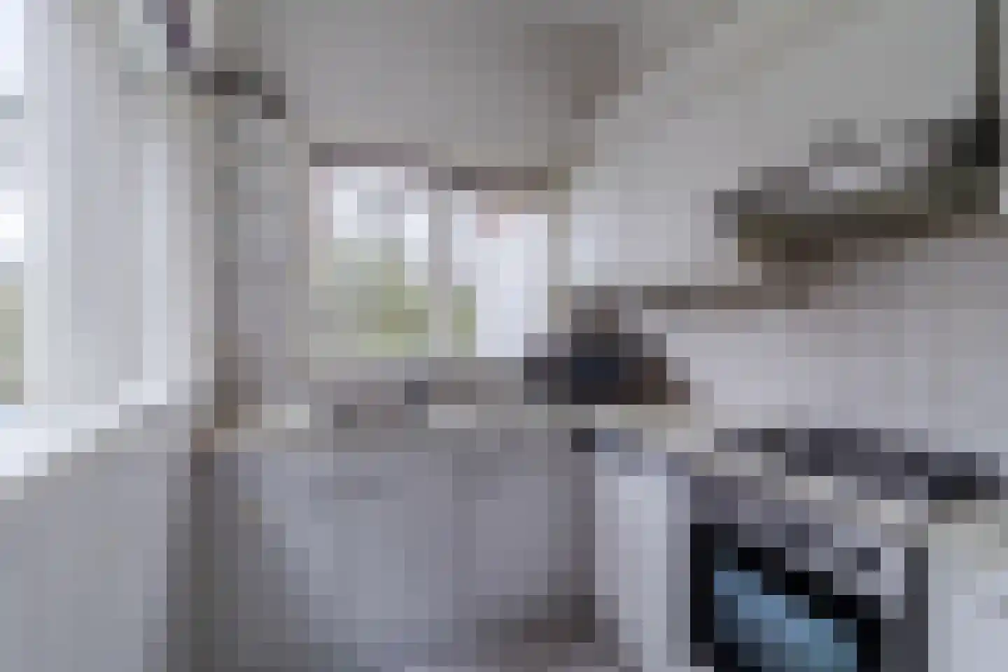 Papelaan 22 Voorschoten thumbnail 10
