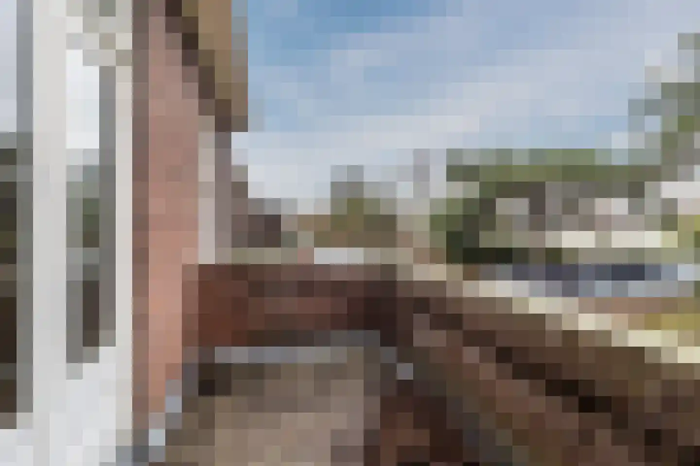 Papelaan 22 Voorschoten thumbnail 16