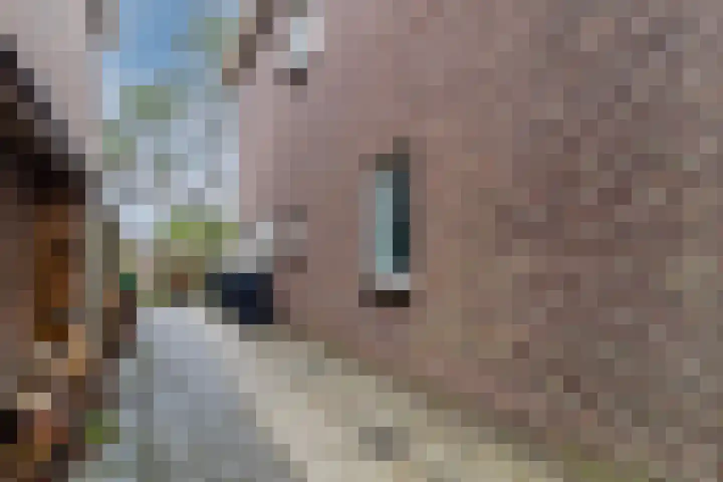 Papelaan 22 Voorschoten thumbnail 33