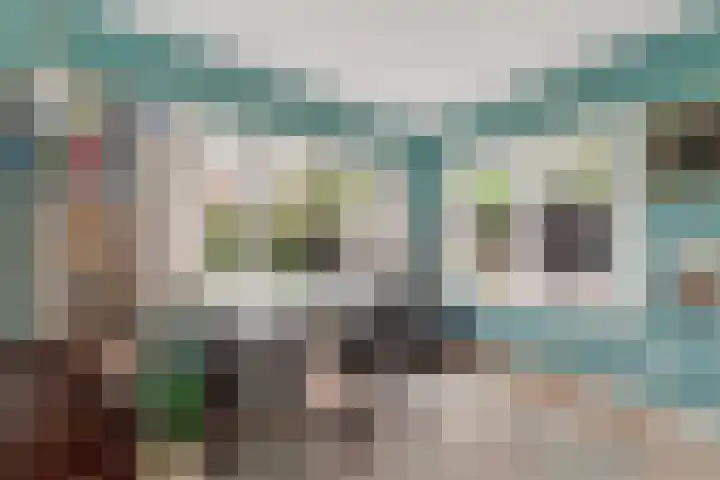 Papelaan 49 Voorschoten thumbnail 12