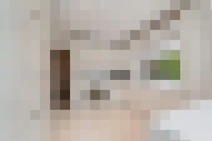 Papelaan 49 Voorschoten thumbnail 15