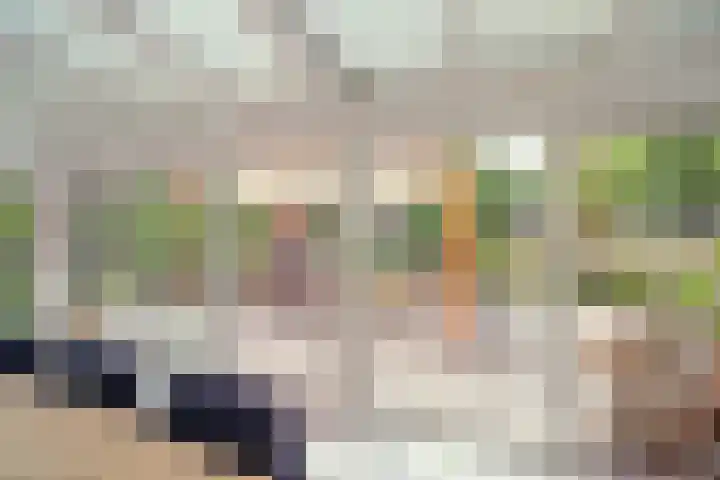 Papelaan 49 Voorschoten thumbnail 17