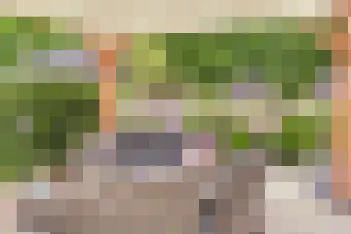Papelaan 49 Voorschoten thumbnail 18