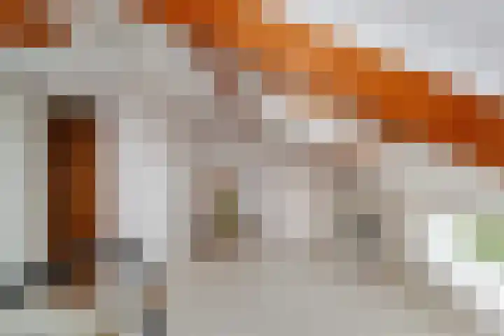 Papelaan 49 Voorschoten thumbnail 34