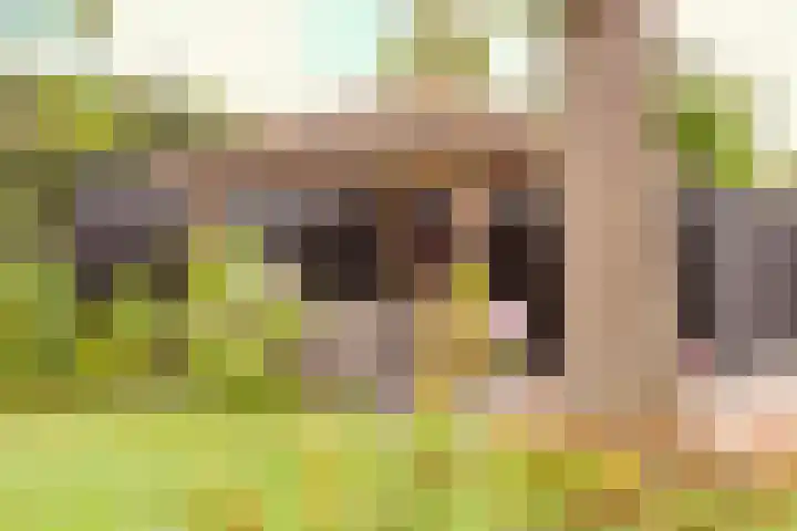 Papelaan 49 Voorschoten thumbnail 39
