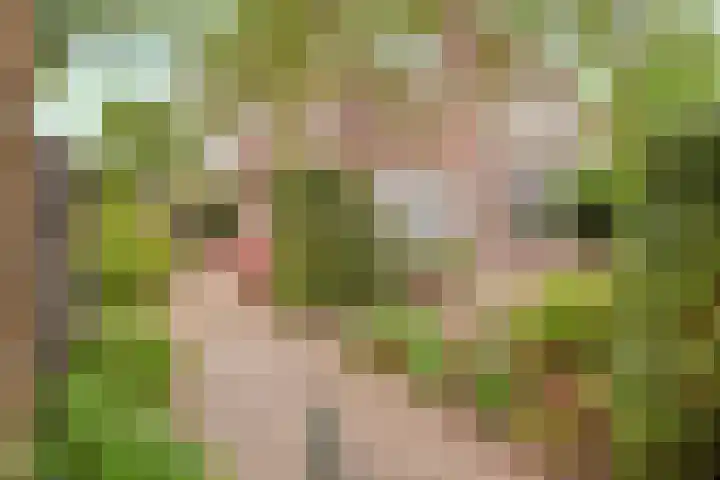 Papelaan 49 Voorschoten thumbnail 4