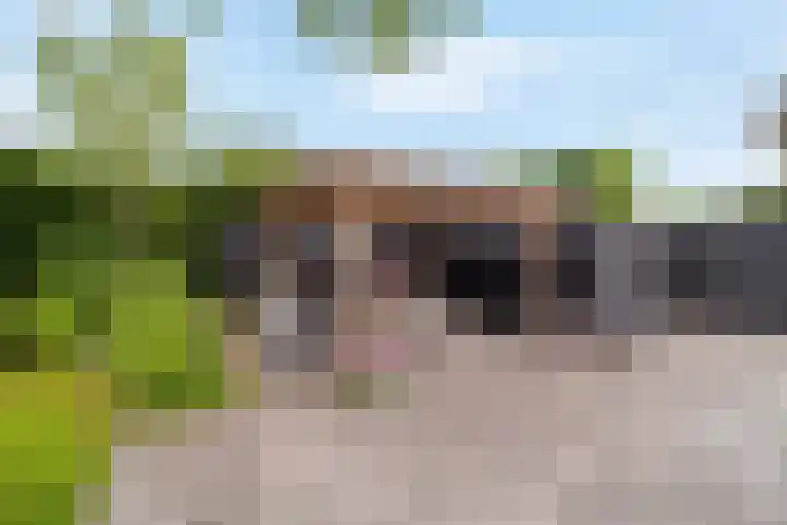 Papelaan 49 Voorschoten thumbnail 45