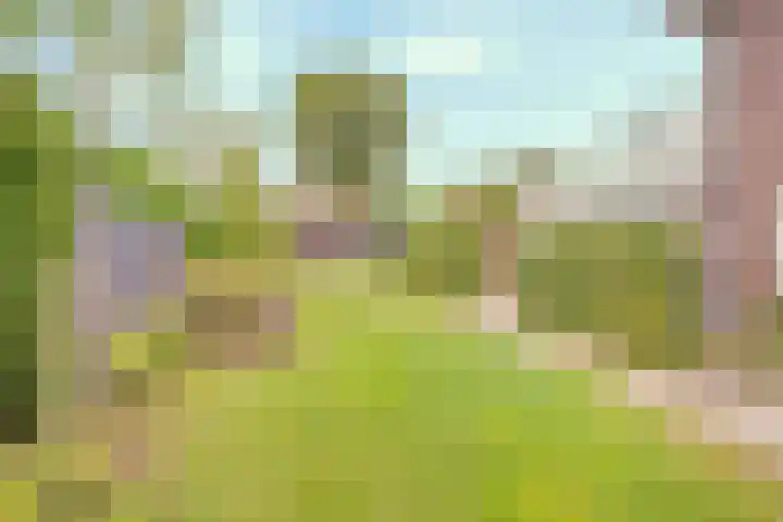 Papelaan 49 Voorschoten thumbnail 48