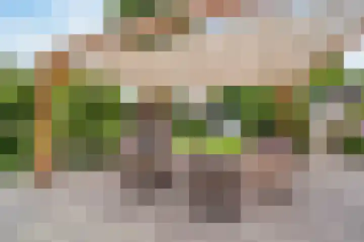 Papelaan 49 Voorschoten thumbnail 49