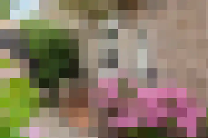 Papelaan 49 Voorschoten thumbnail 5
