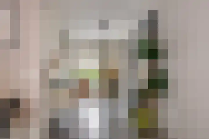 Papelaan 59 c Voorschoten thumbnail 10