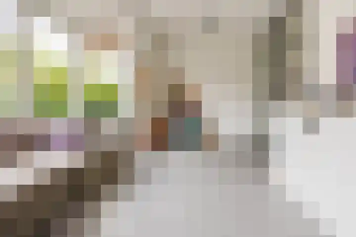 Papelaan 59 c Voorschoten thumbnail 11