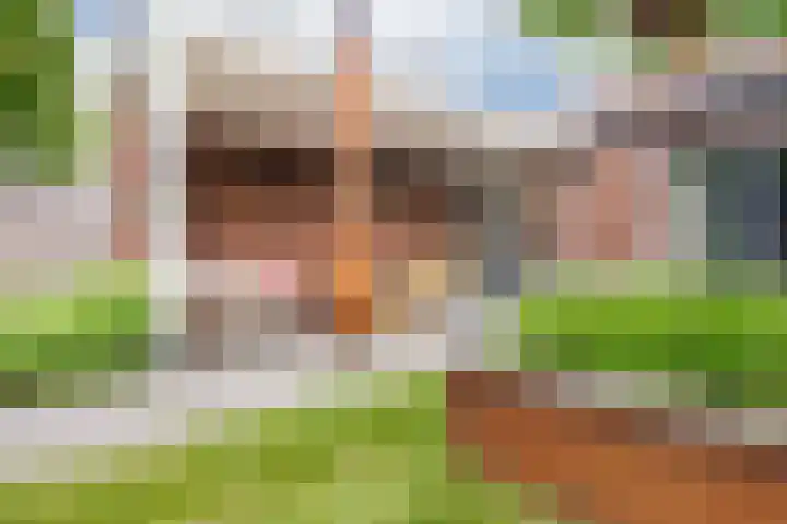 Papelaan 59 c Voorschoten thumbnail 26