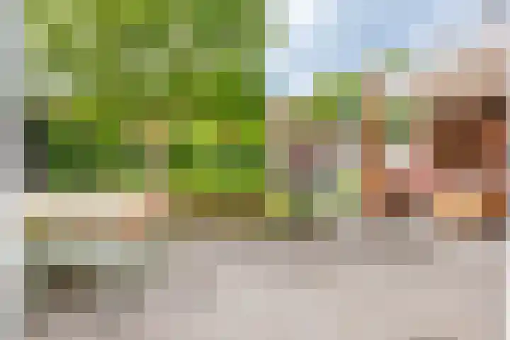 Papelaan 59 c Voorschoten thumbnail 28