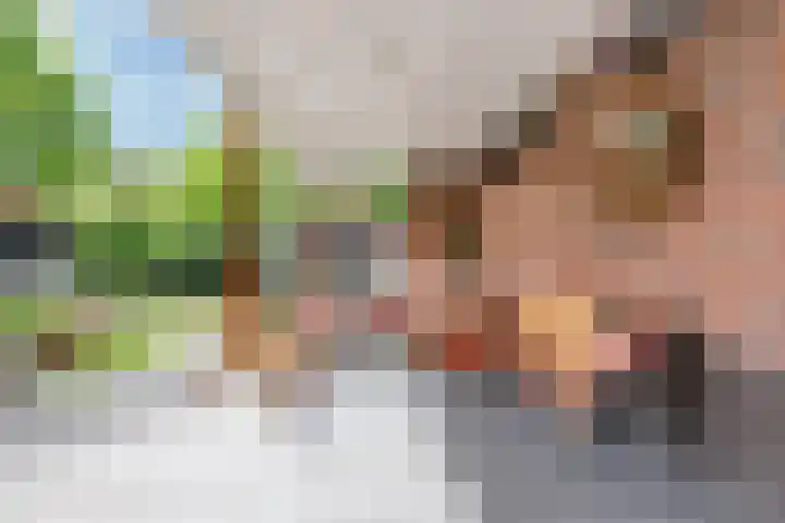 Papelaan 59 c Voorschoten thumbnail 29