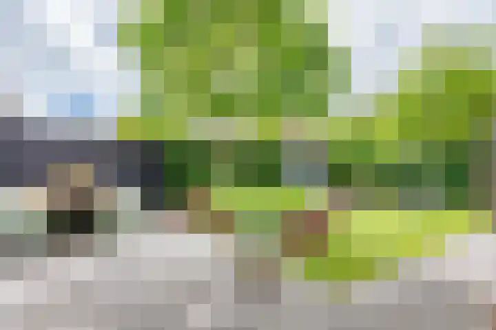 Papelaan 59 c Voorschoten thumbnail 30