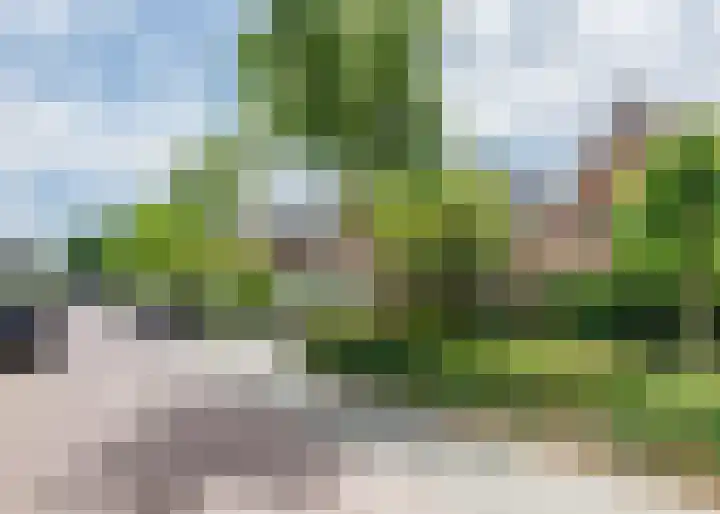 Papelaan 59 c Voorschoten thumbnail 4