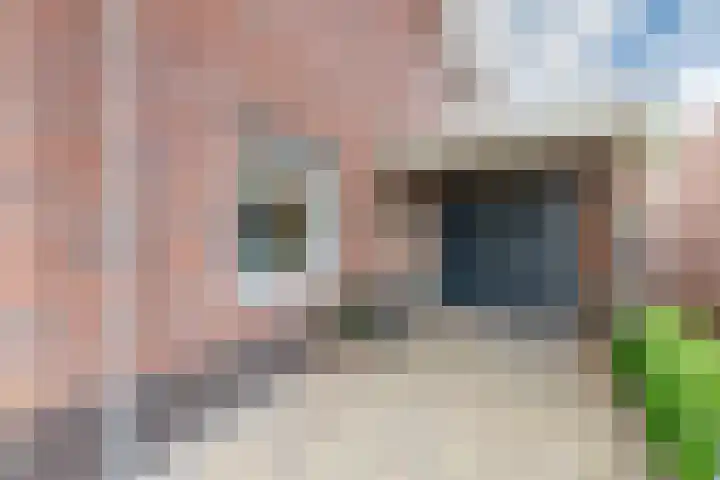 Papelaan 59 c Voorschoten thumbnail 5