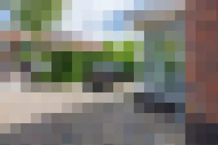 Papelaan 59 c Voorschoten thumbnail 65