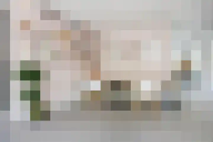Papelaan 59 c Voorschoten thumbnail 8