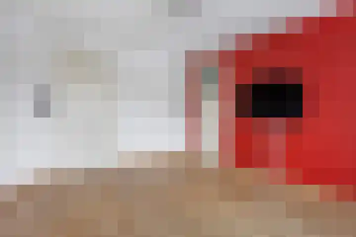 Papelaan 82 Voorschoten thumbnail 14