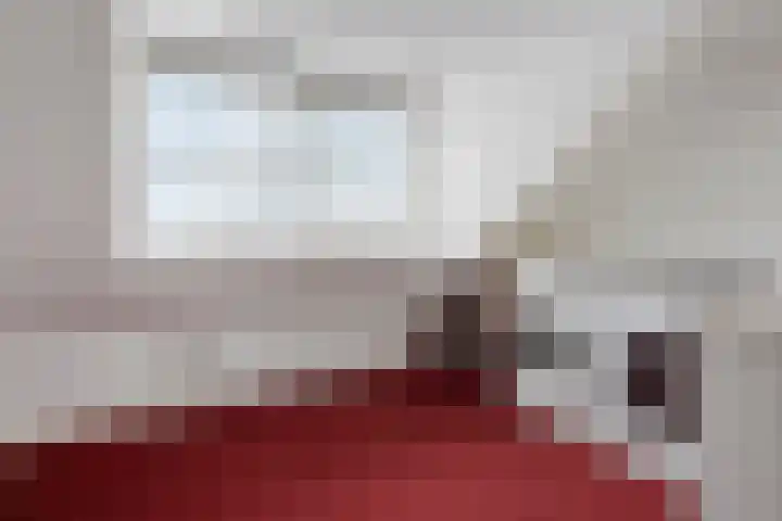 Papelaan 82 Voorschoten thumbnail 26